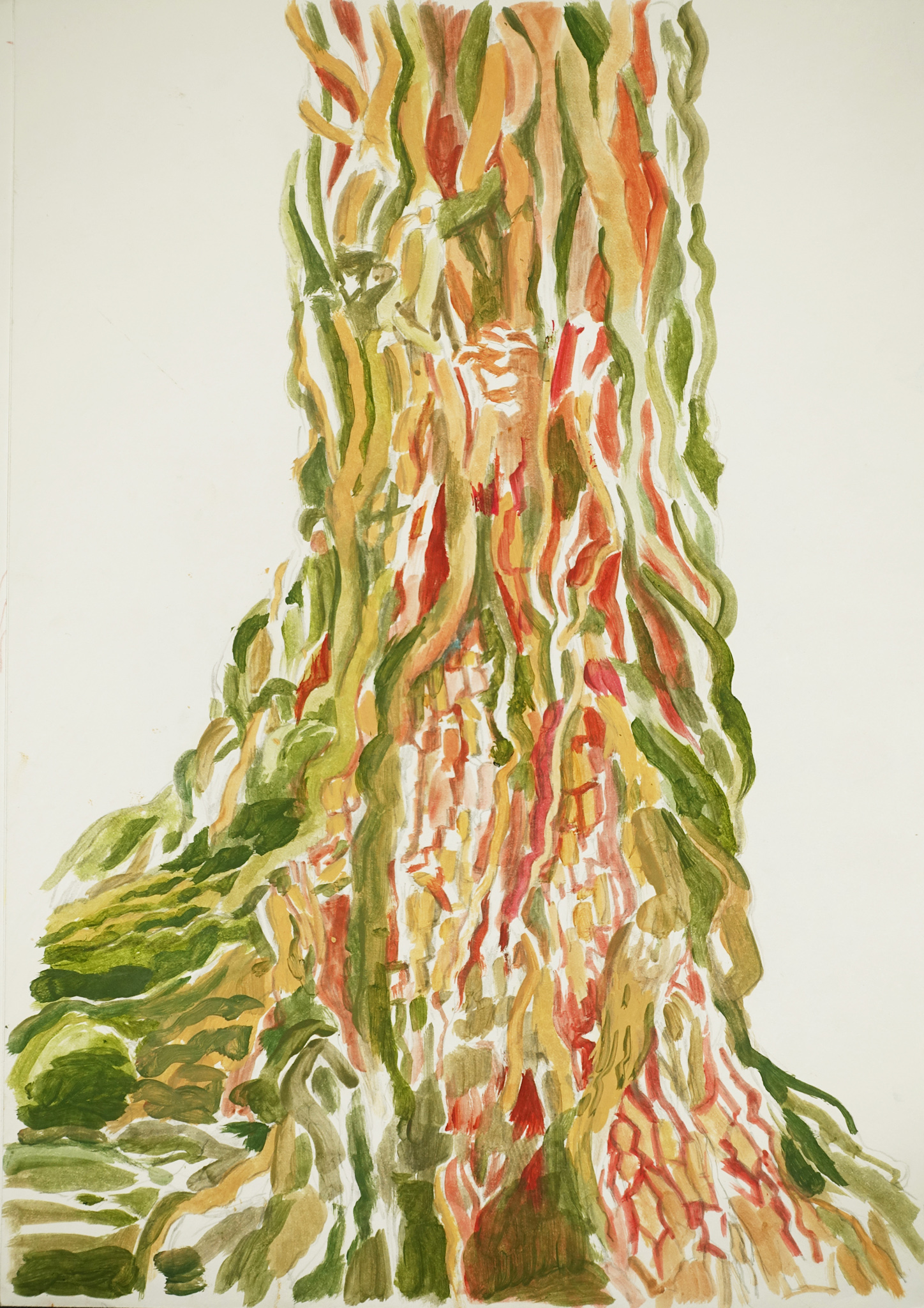 Tree_trunk_olive_orange