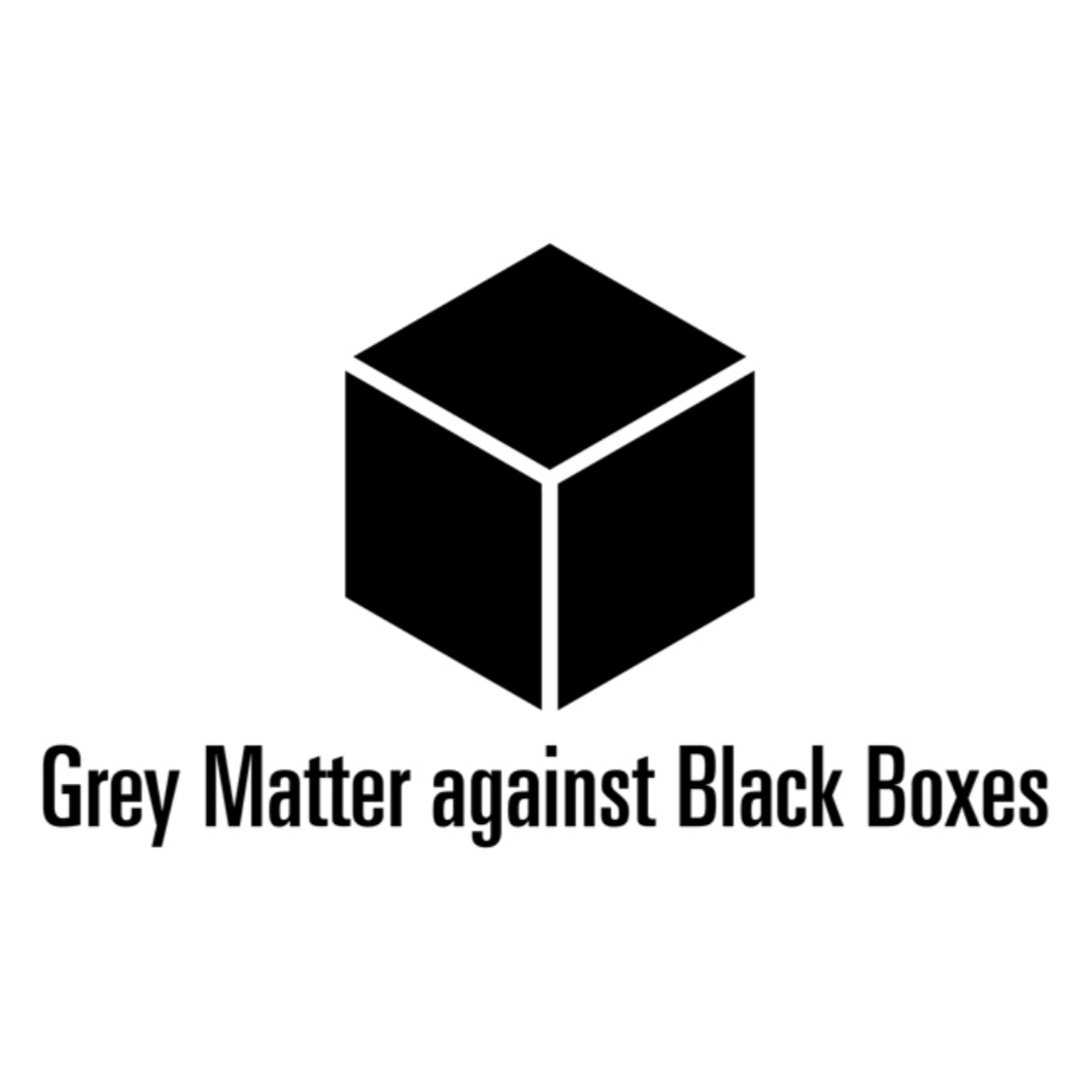 grey matter & black boxes