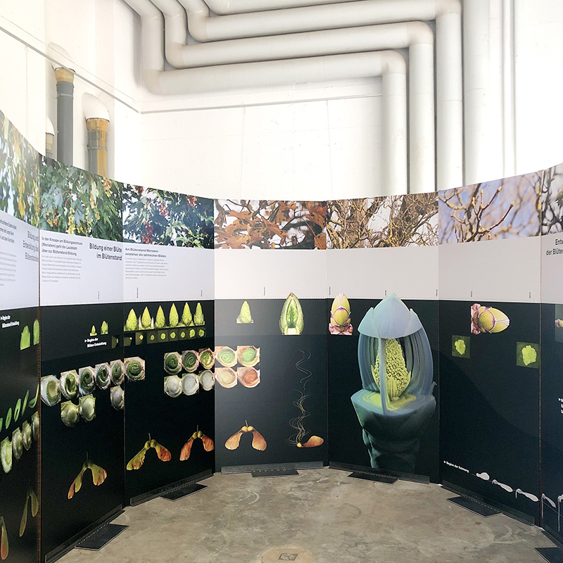 Botany Exhibition