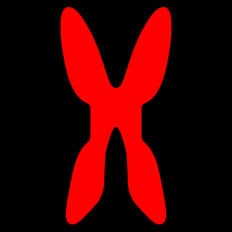Butterflty System